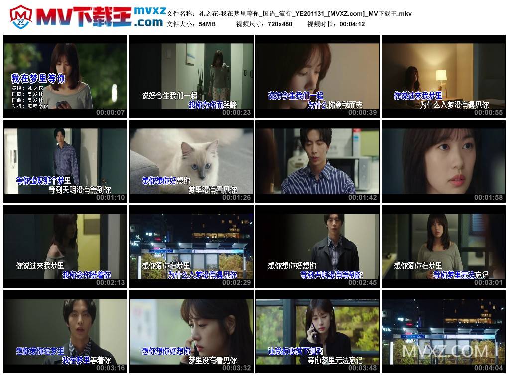 礼之花-我在梦里等你_国语_流行_YE201131